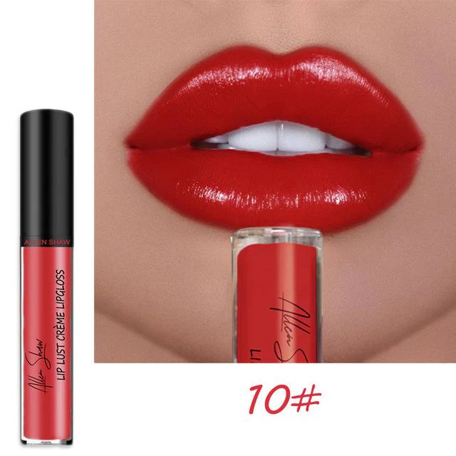 12 COLOR WATERPROOF LONG LASTING MOIST LIP GLOSS PLUMPER LIQUID LIPSTICK - Image 10