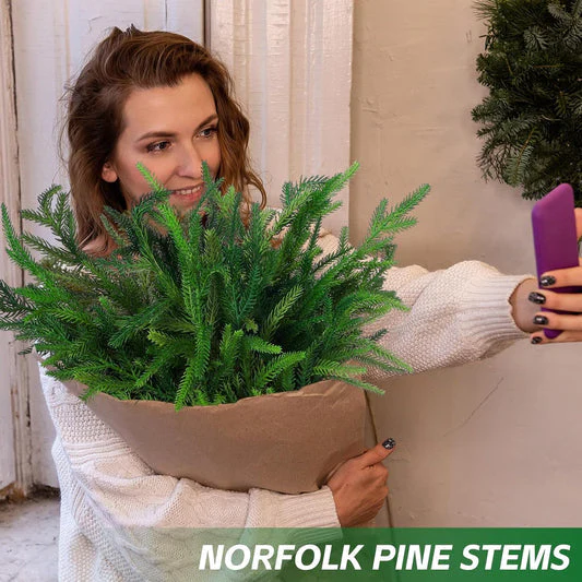 💥Christmas Special Sale-Deluxe Norfolk Pine Garland - Image 17