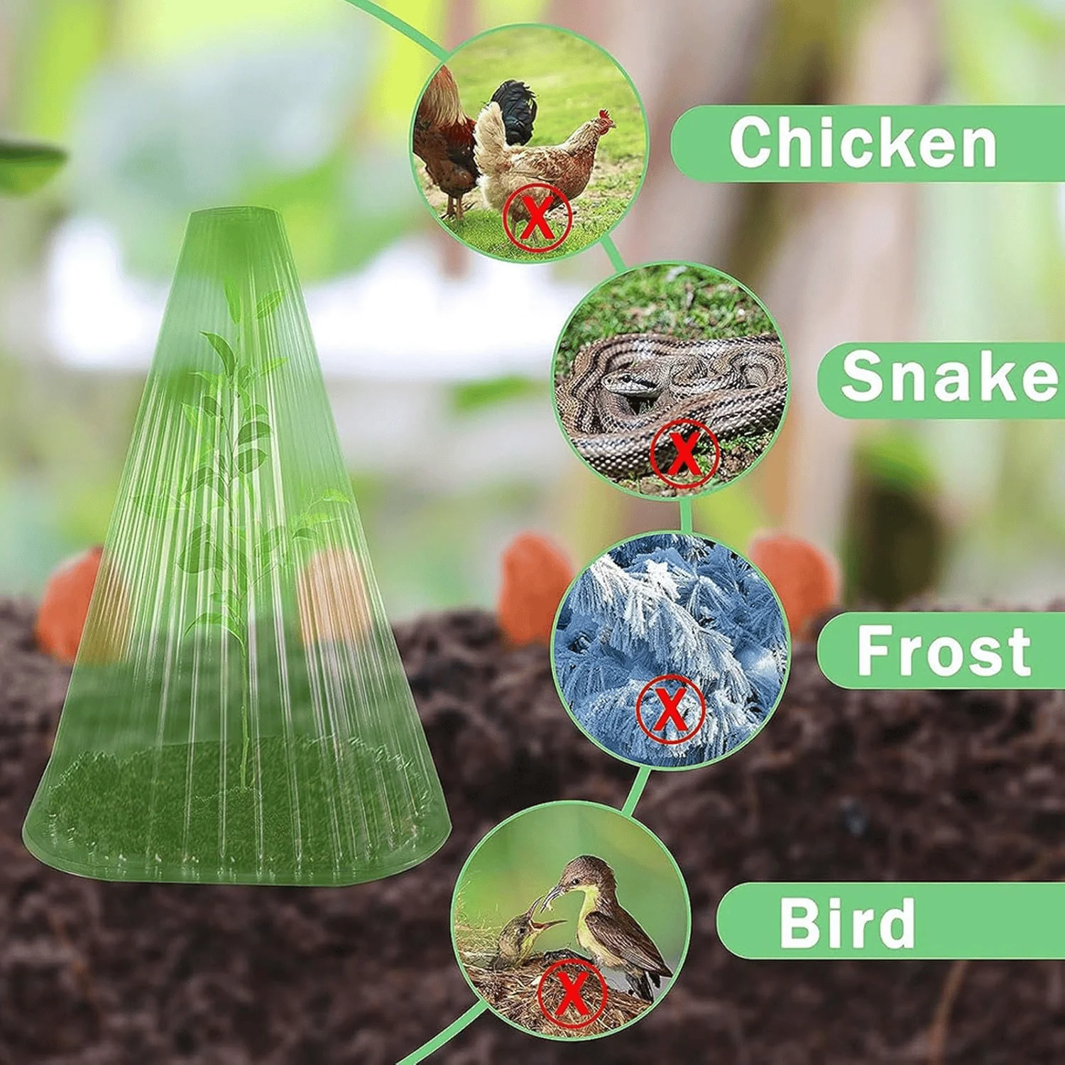 🌱Gardening Greenhouse Plant Covers - Image 16