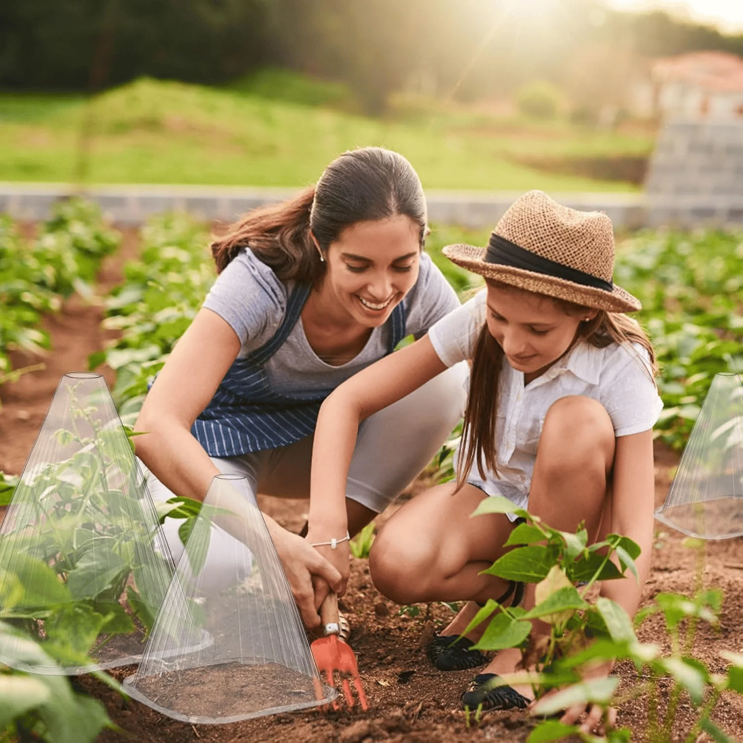 🌱Gardening Greenhouse Plant Covers - Image 4