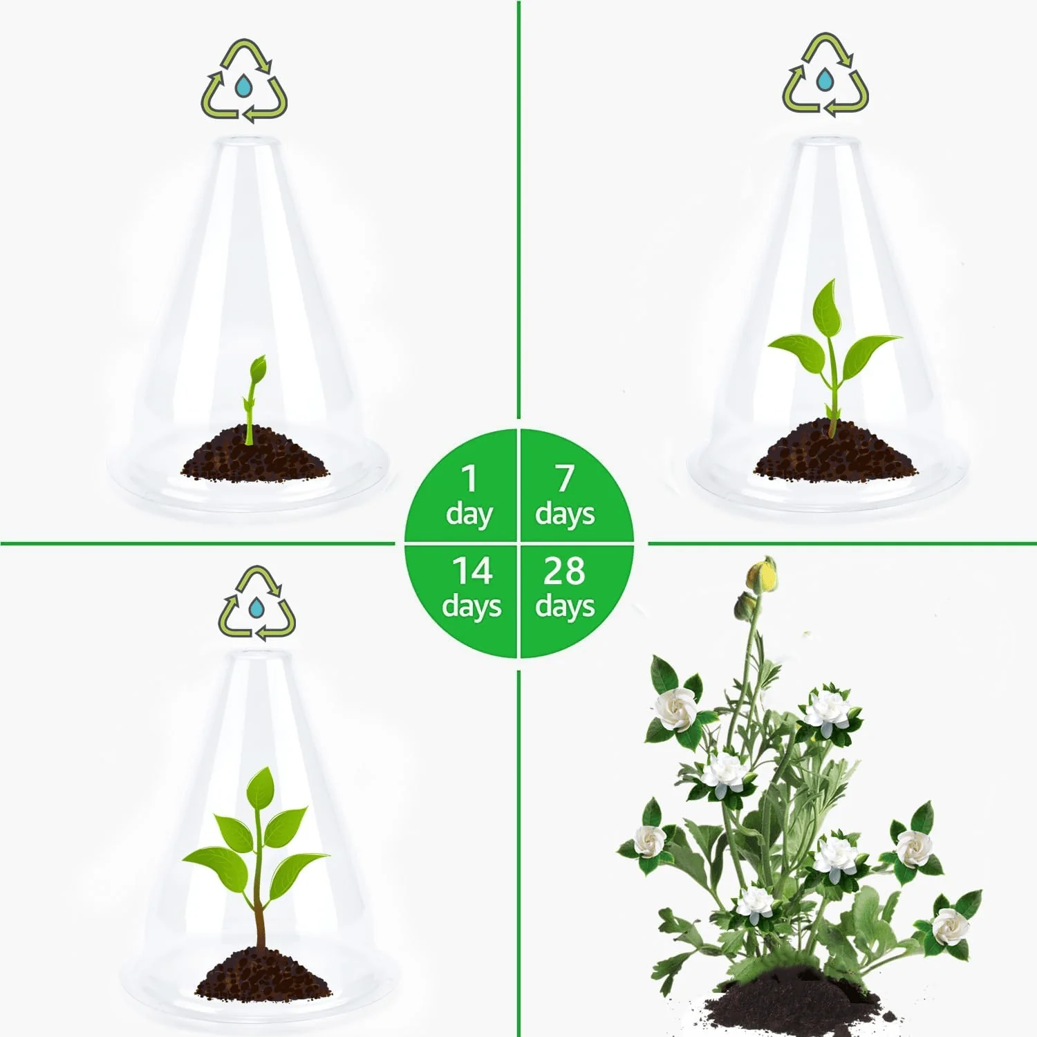 🌱Gardening Greenhouse Plant Covers - Image 6