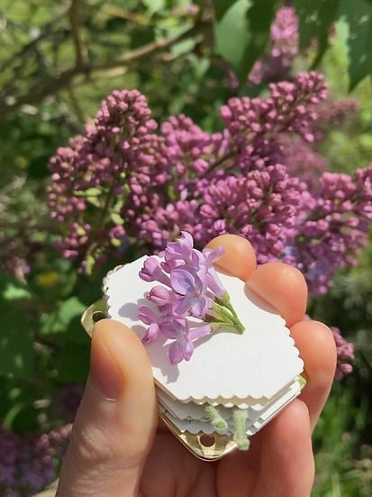 💐Micro Flower Press - Image 19