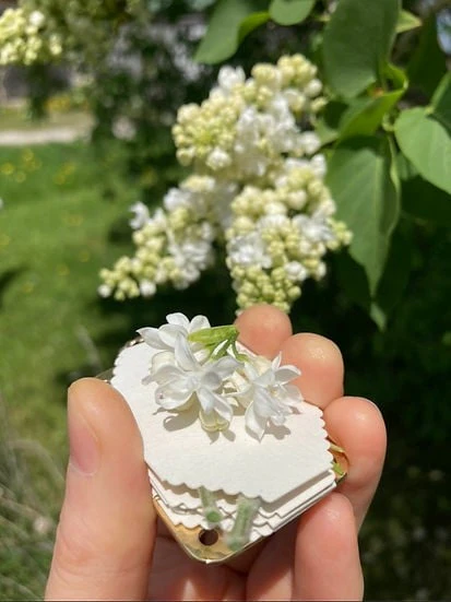 💐Micro Flower Press - Image 21