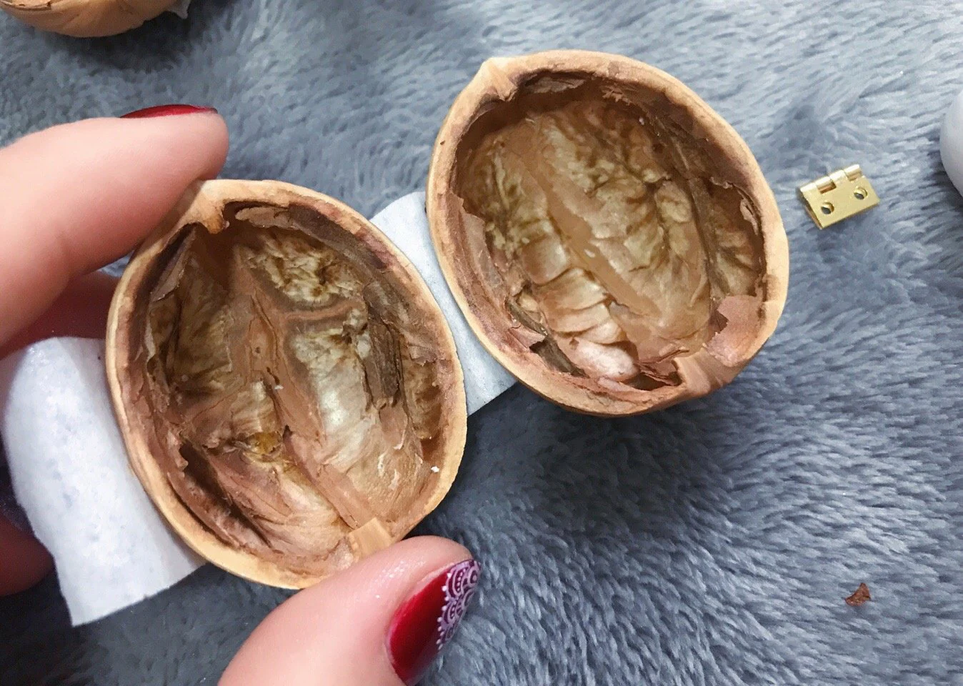 Handmade.Walnut Shell Doll House--mini library, tiny World inside walnuts - Image 4
