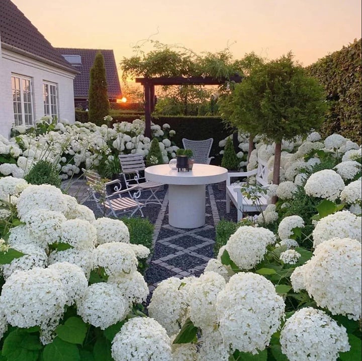Outdoor Artificial Hydrangea Flowers💐 - Image 6