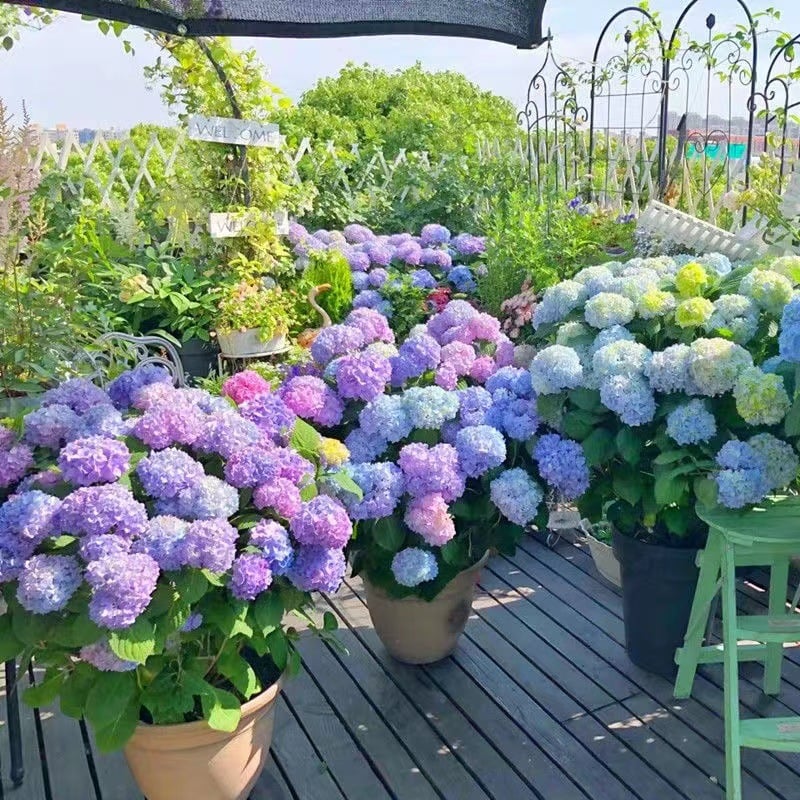 Outdoor Artificial Hydrangea Flowers💐 - Image 8