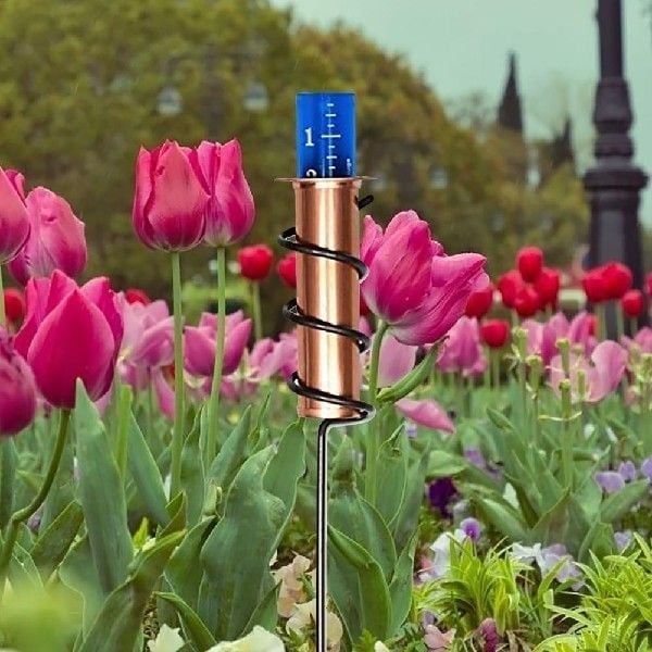 Copper Rain Gauge - Image 4