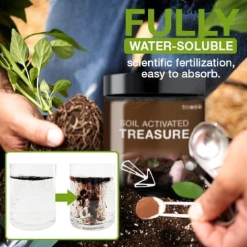 Radiantgrp - The treasure of soil revitalisation - Image 7