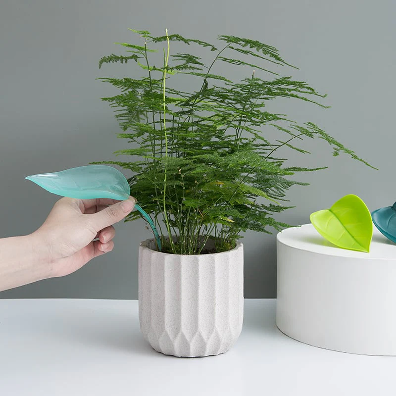 Watering Leaves(BUY 5 GET 5 FREE) - Image 11
