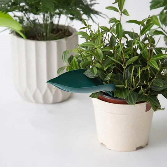 Watering Leaves(BUY 5 GET 5 FREE) - Image 3