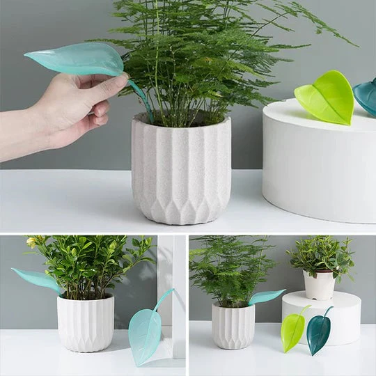 Watering Leaves(BUY 5 GET 5 FREE) - Image 7