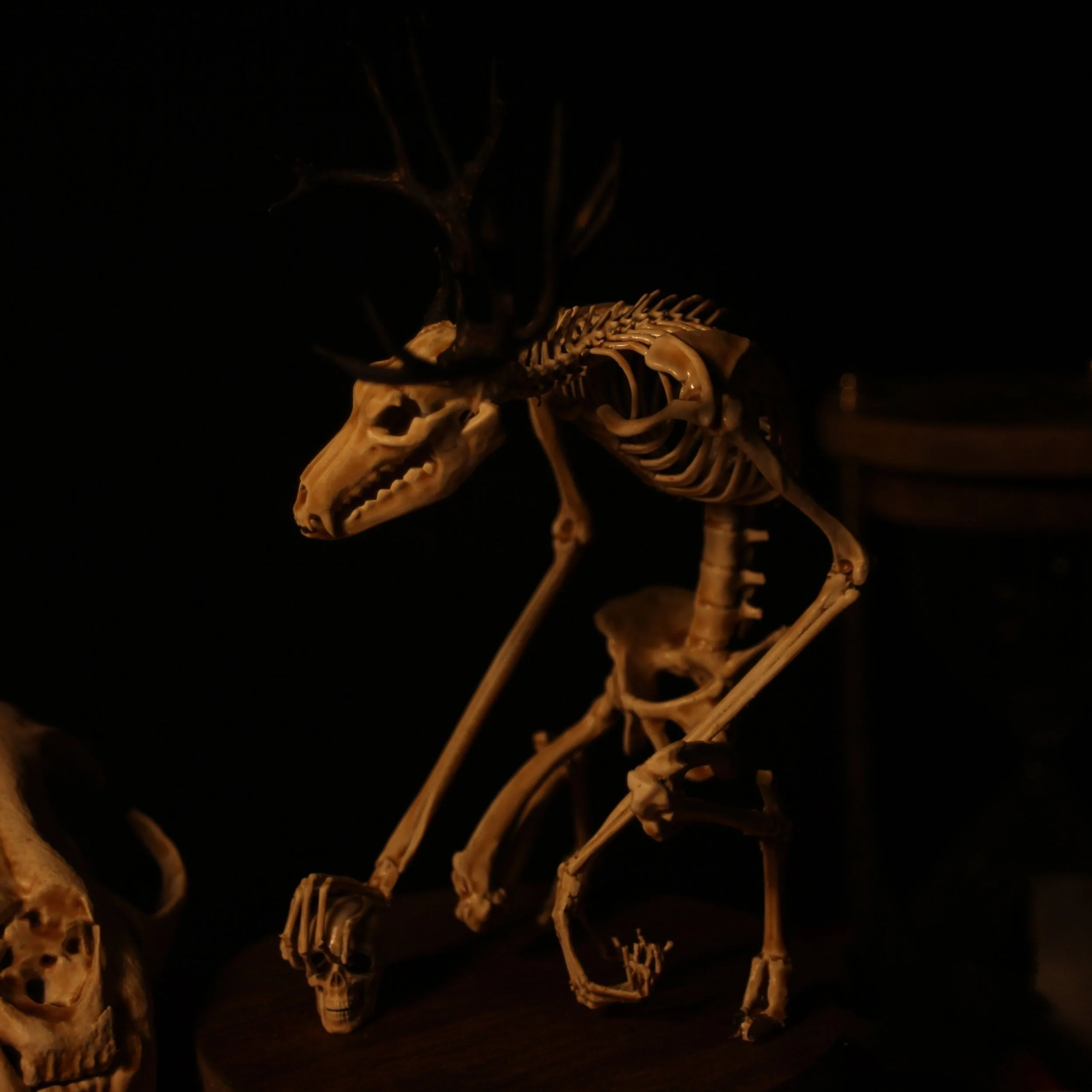 Radiantgrp - WENDIGO SKELETON CURIOSITY CABINET - Image 10